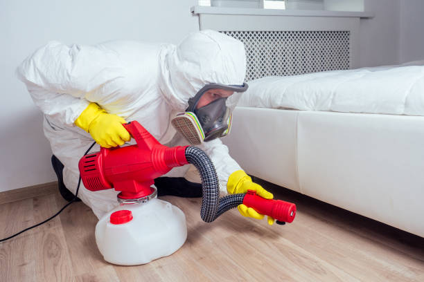 Best Pest Prevention Services  in Blue Earth, MN